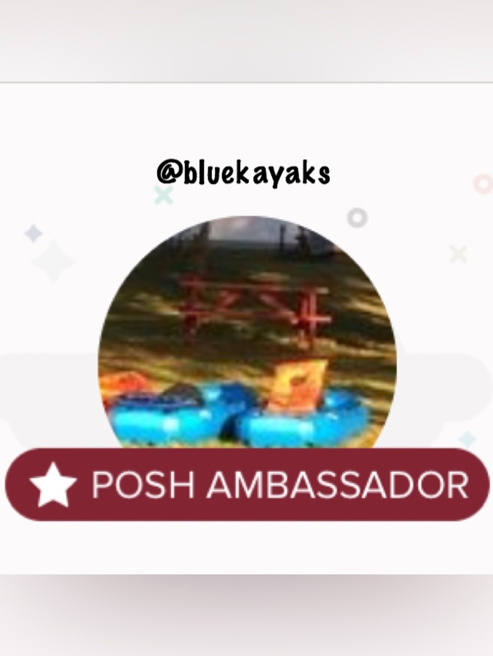 Posh Ambassador